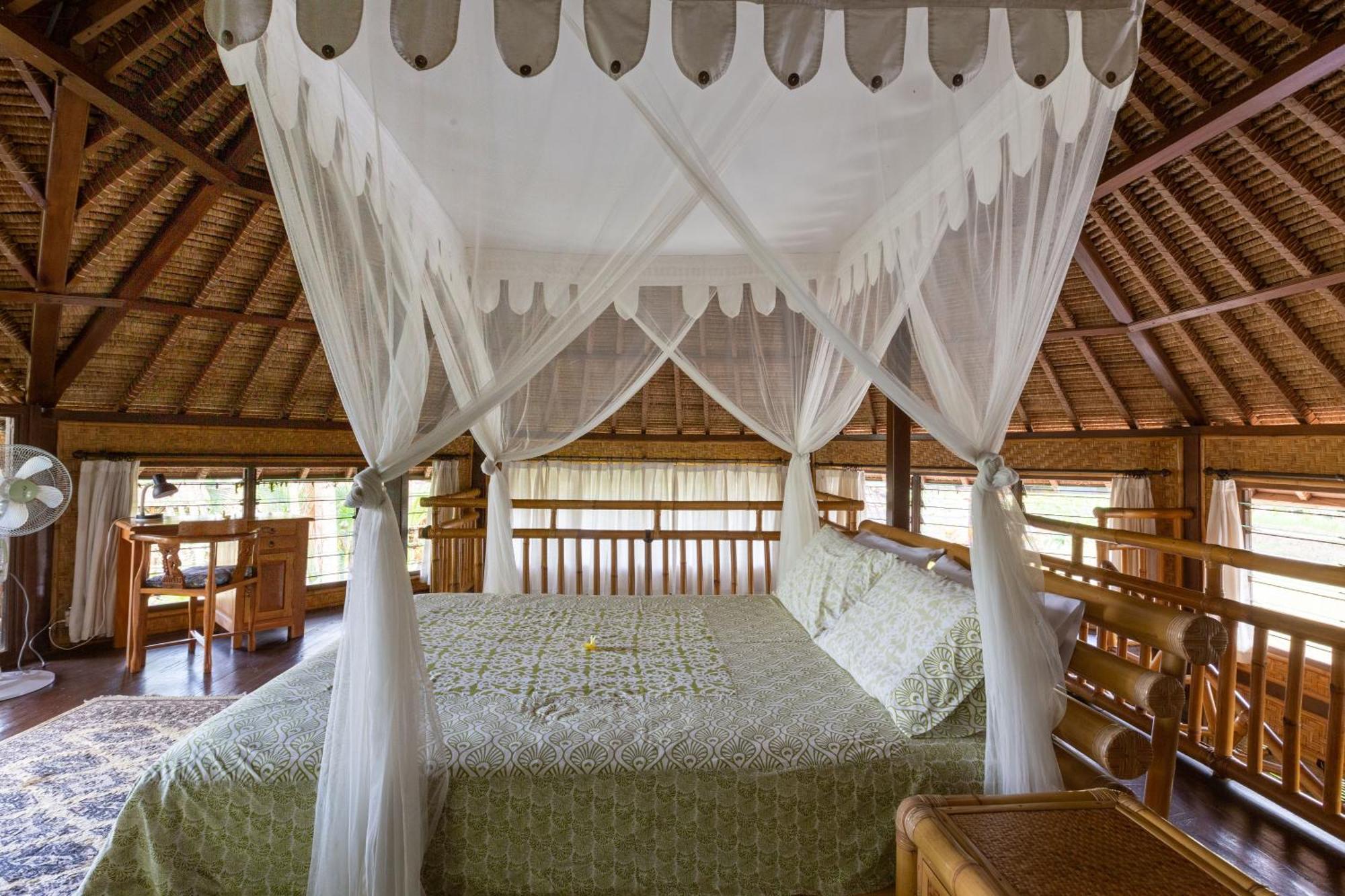 Bali Firefly Bnb Ubud Pokoj fotografie