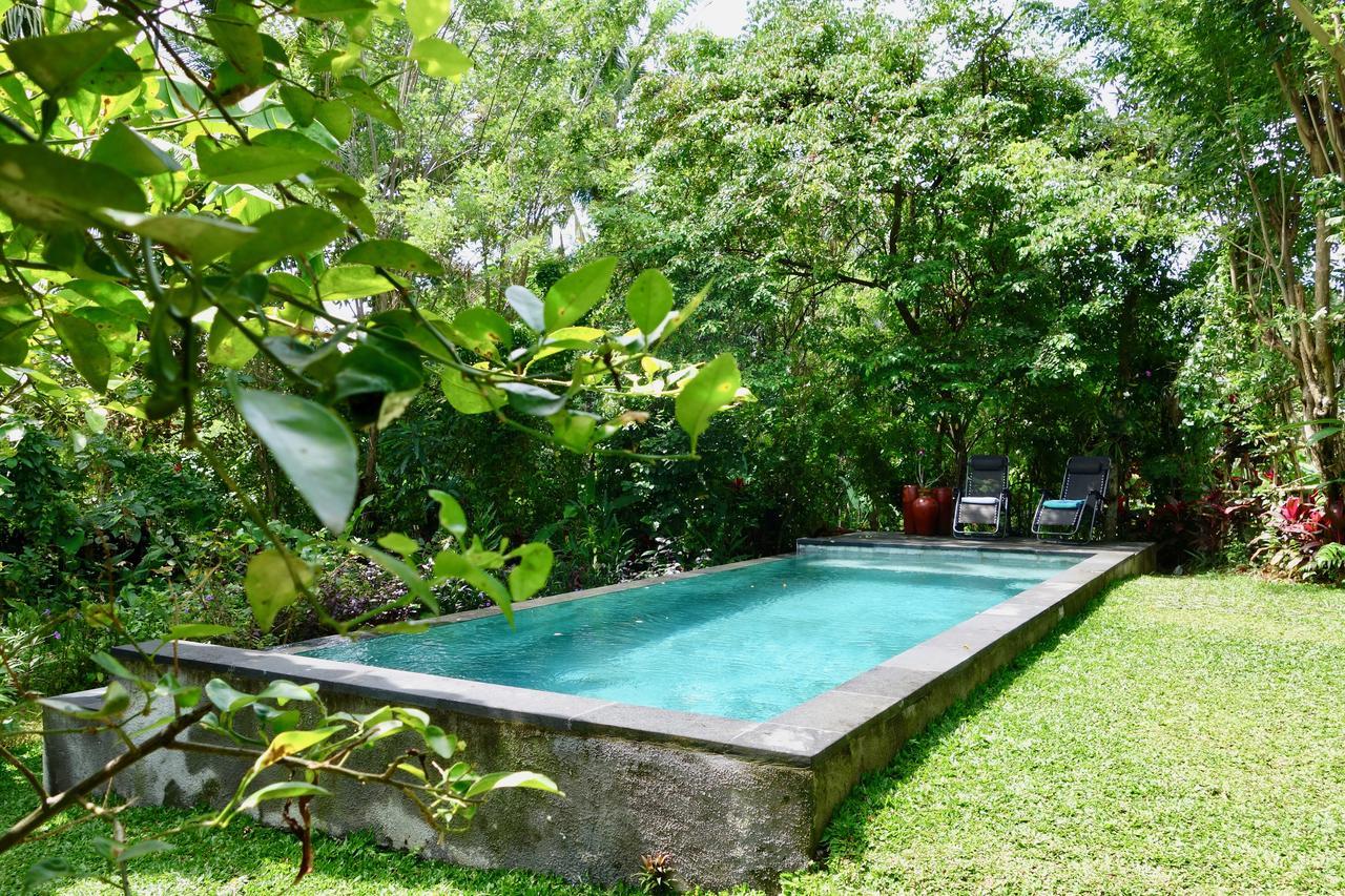Bali Firefly Bnb Ubud Exteriér fotografie
