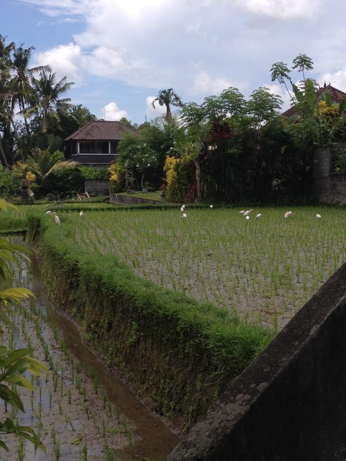 Bali Firefly Bnb Ubud Exteriér fotografie